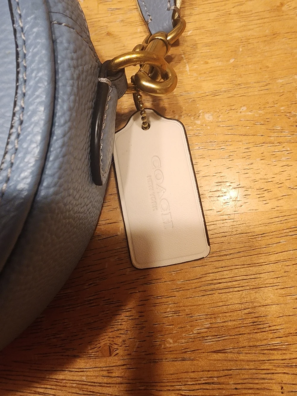 Coach Light Blue Round Crossbody Bag - Signature Leather